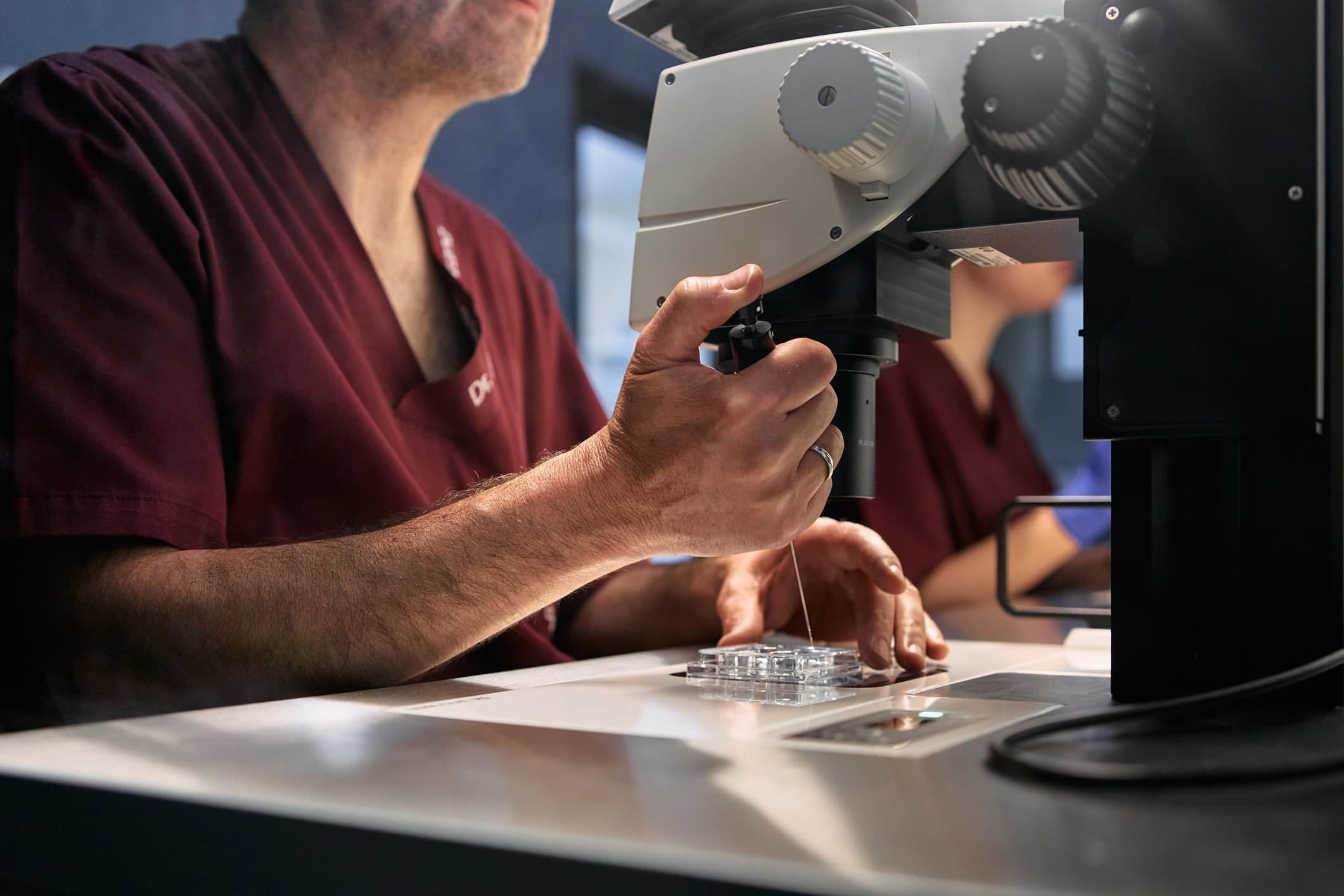 doctor analysing cell samples in a clinical fertility laboratory